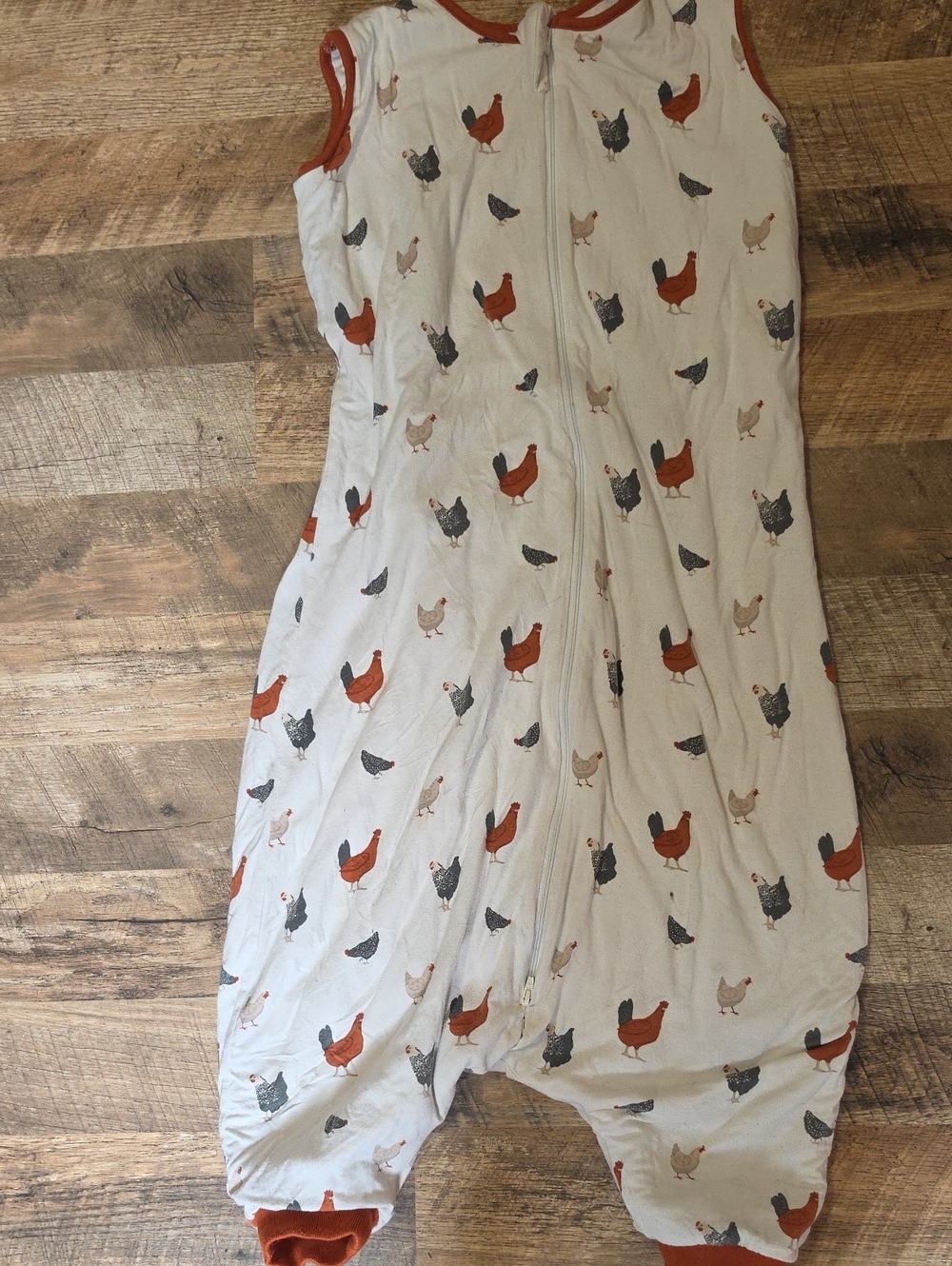 Kyte Baby Sleep Bag Walker